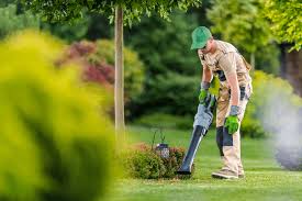service-image